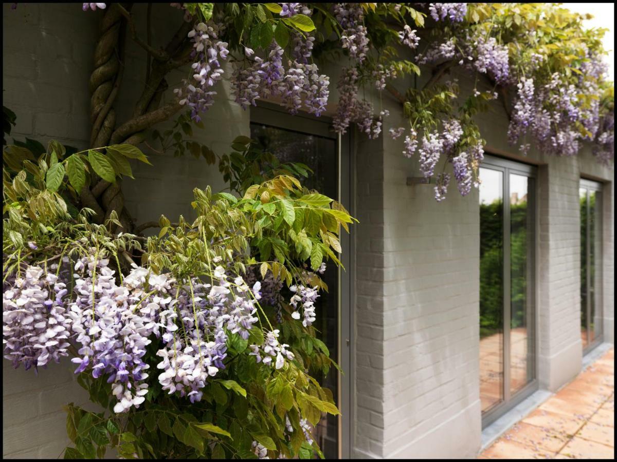Bed and Breakfast Rooseboom22 Aartrijke Exterior foto