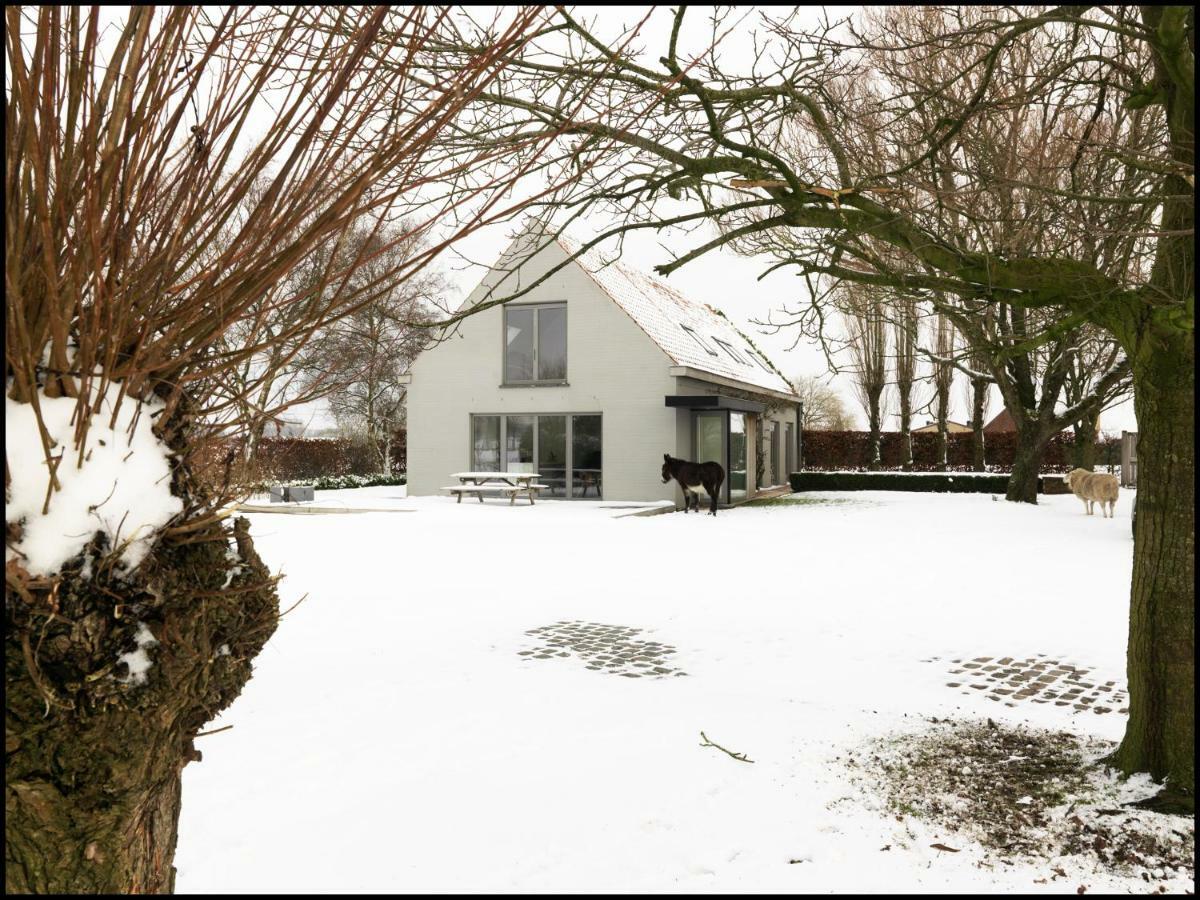 Bed and Breakfast Rooseboom22 Aartrijke Exterior foto