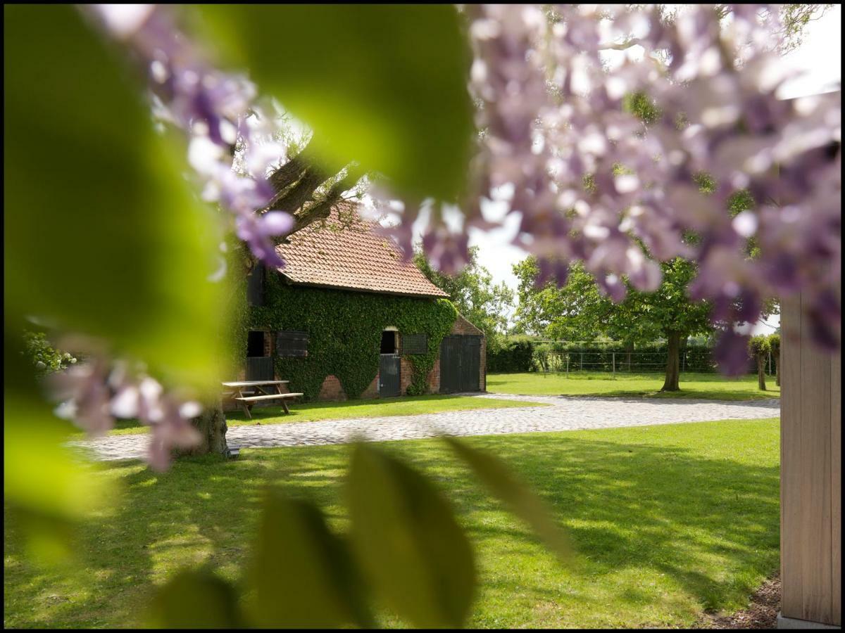 Bed and Breakfast Rooseboom22 Aartrijke Exterior foto